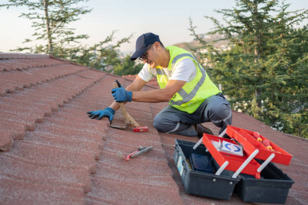 Best Roof Insulation Installation  in Pinckney, MI